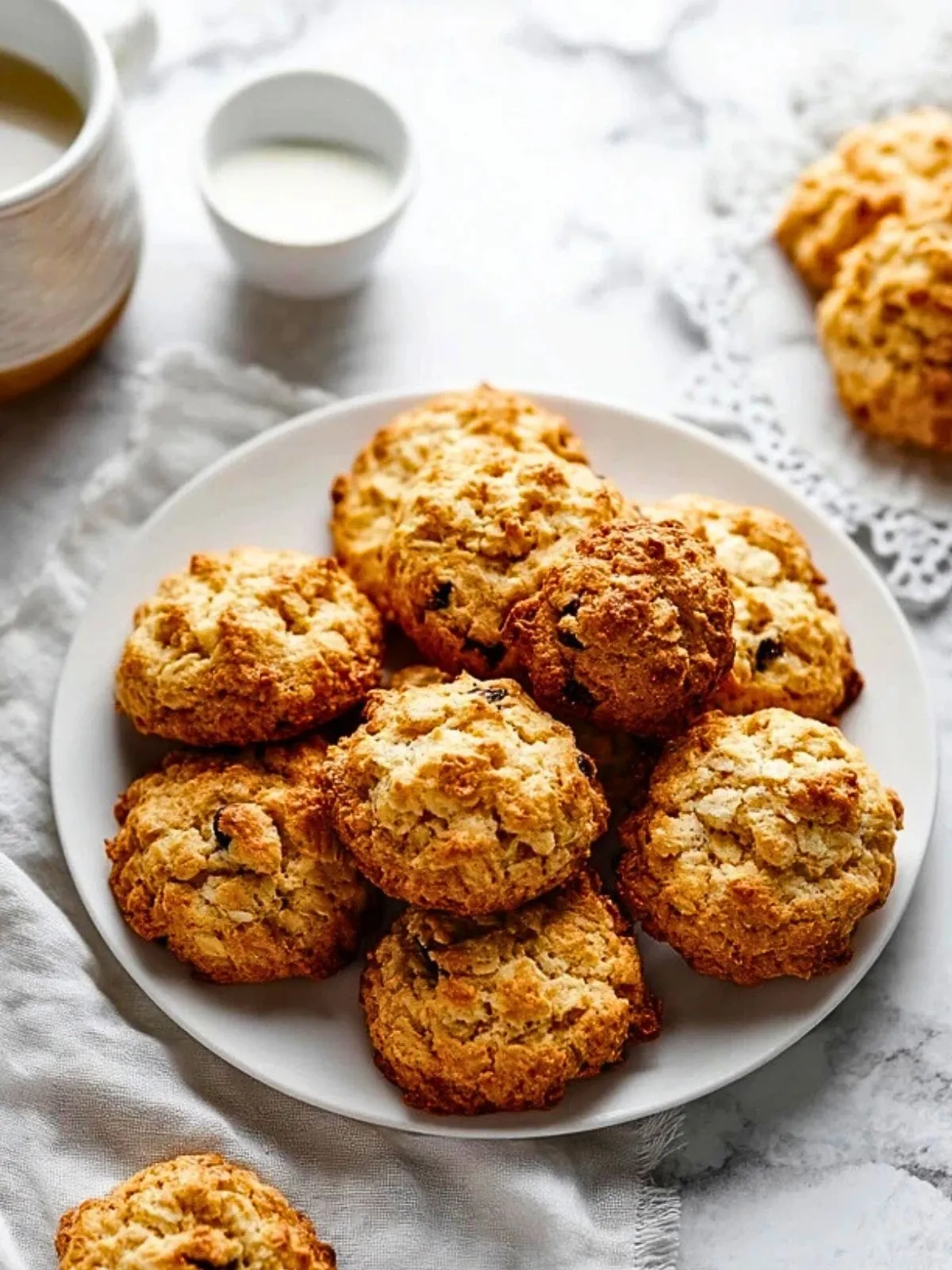Biscuits Aux Flocons DAvoine Sains (1)