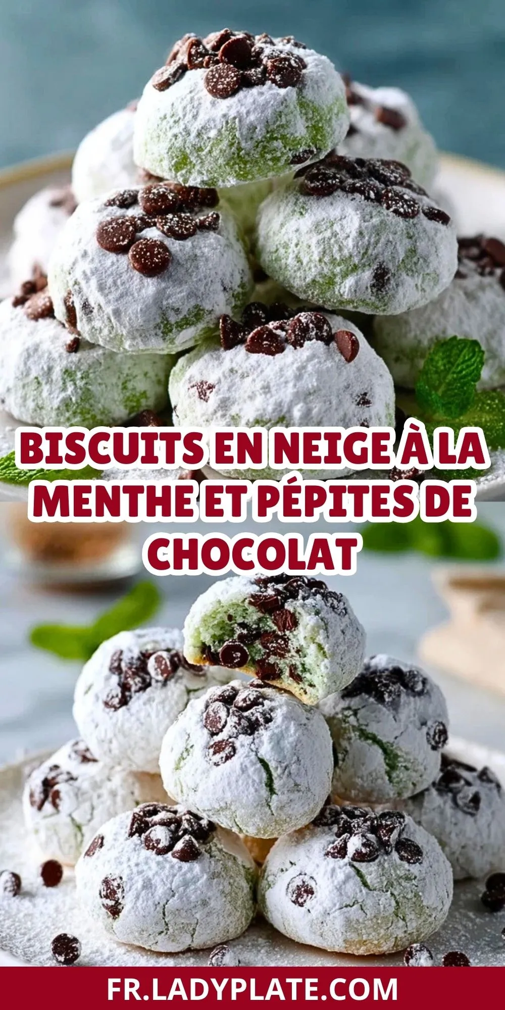 Biscuits En Neige À La Menthe Et Pépites De Chocolat (2)