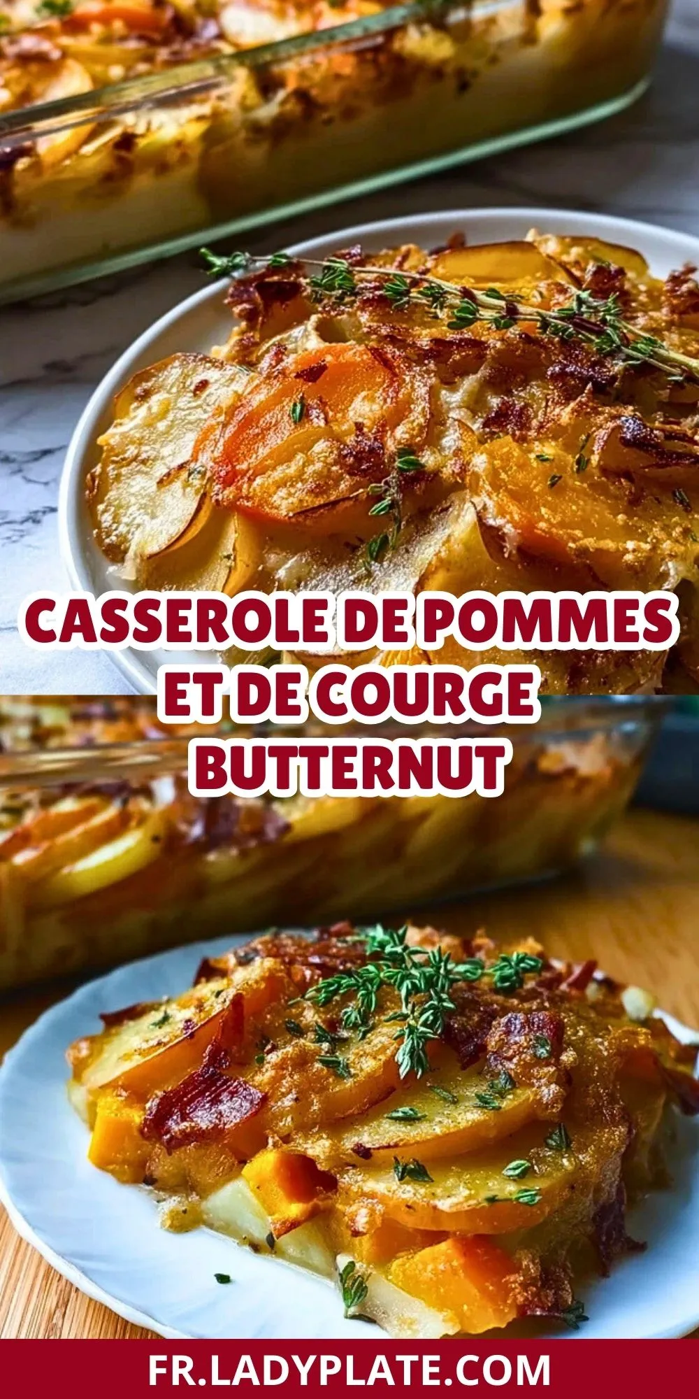 Casserole de pommes et de courge butternut (2)