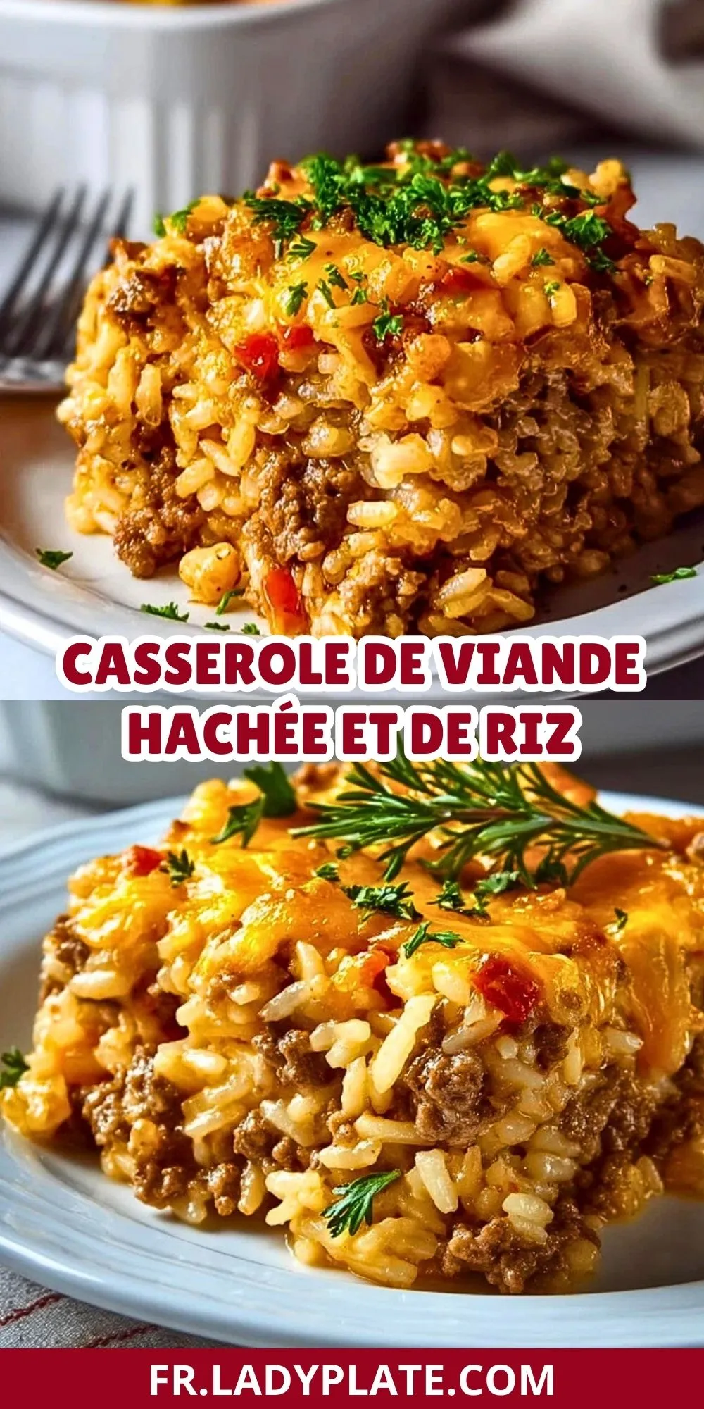 Casserole de viande hachée et de riz (2)