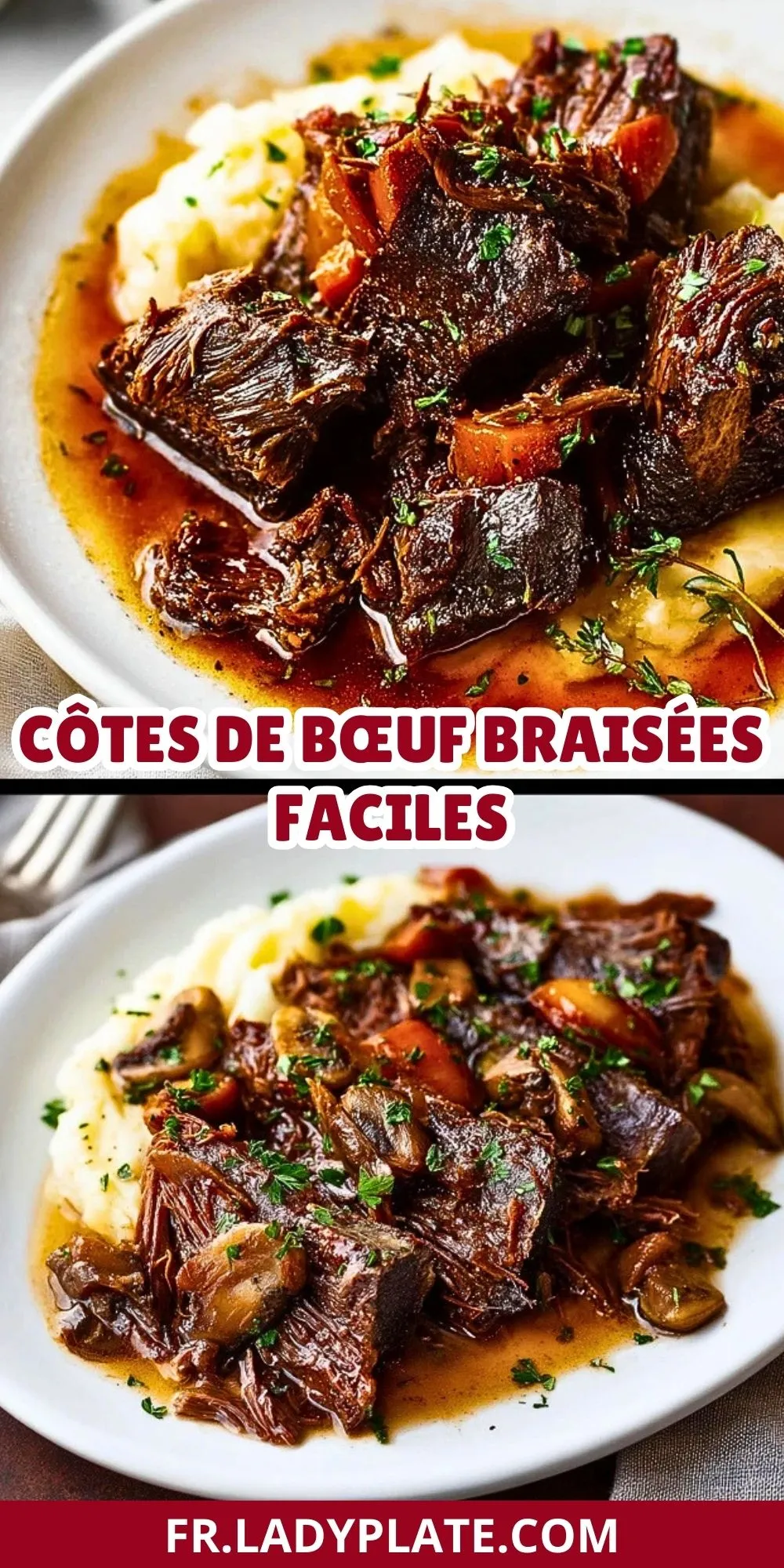 Côtes De Bœuf Braisées Faciles (2)