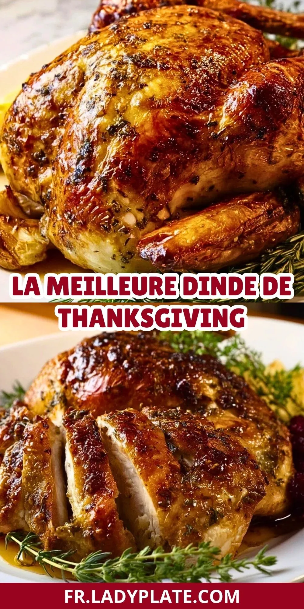 La meilleure dinde de Thanksgiving - Pin 1