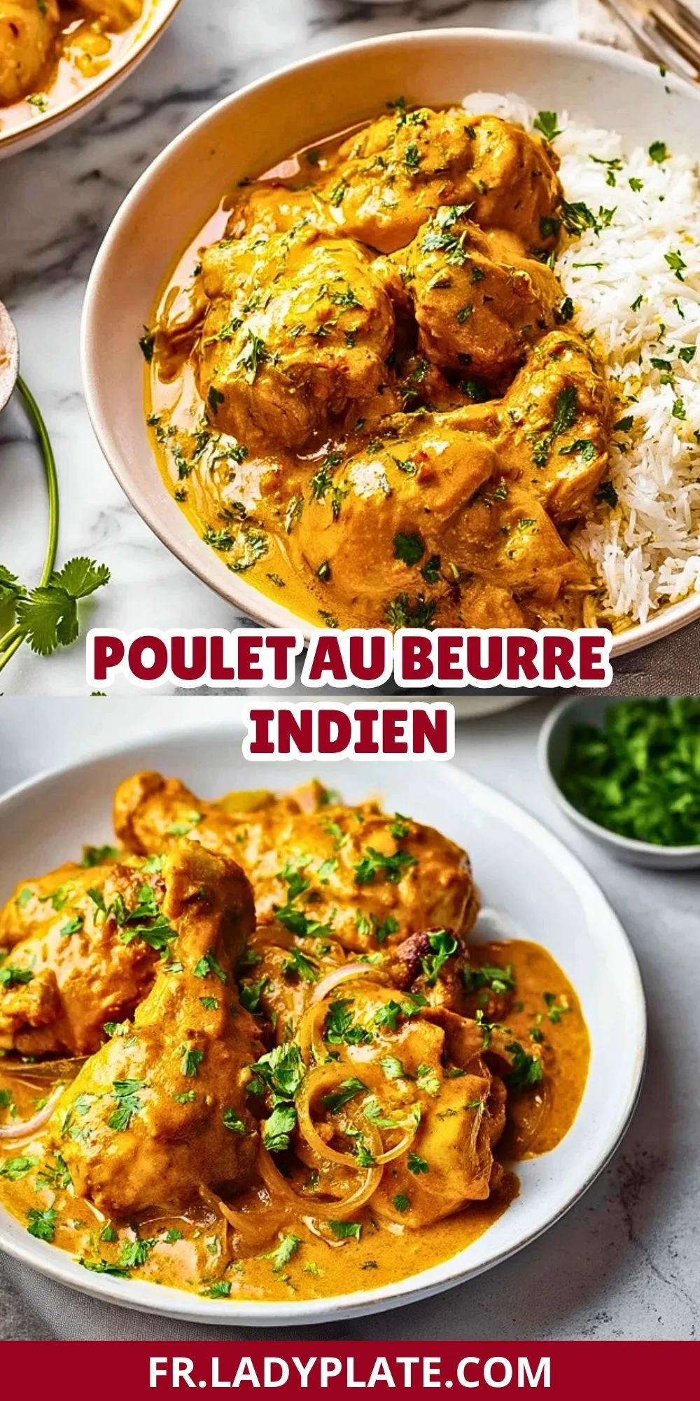 Poulet Au Beurre Indien (2)