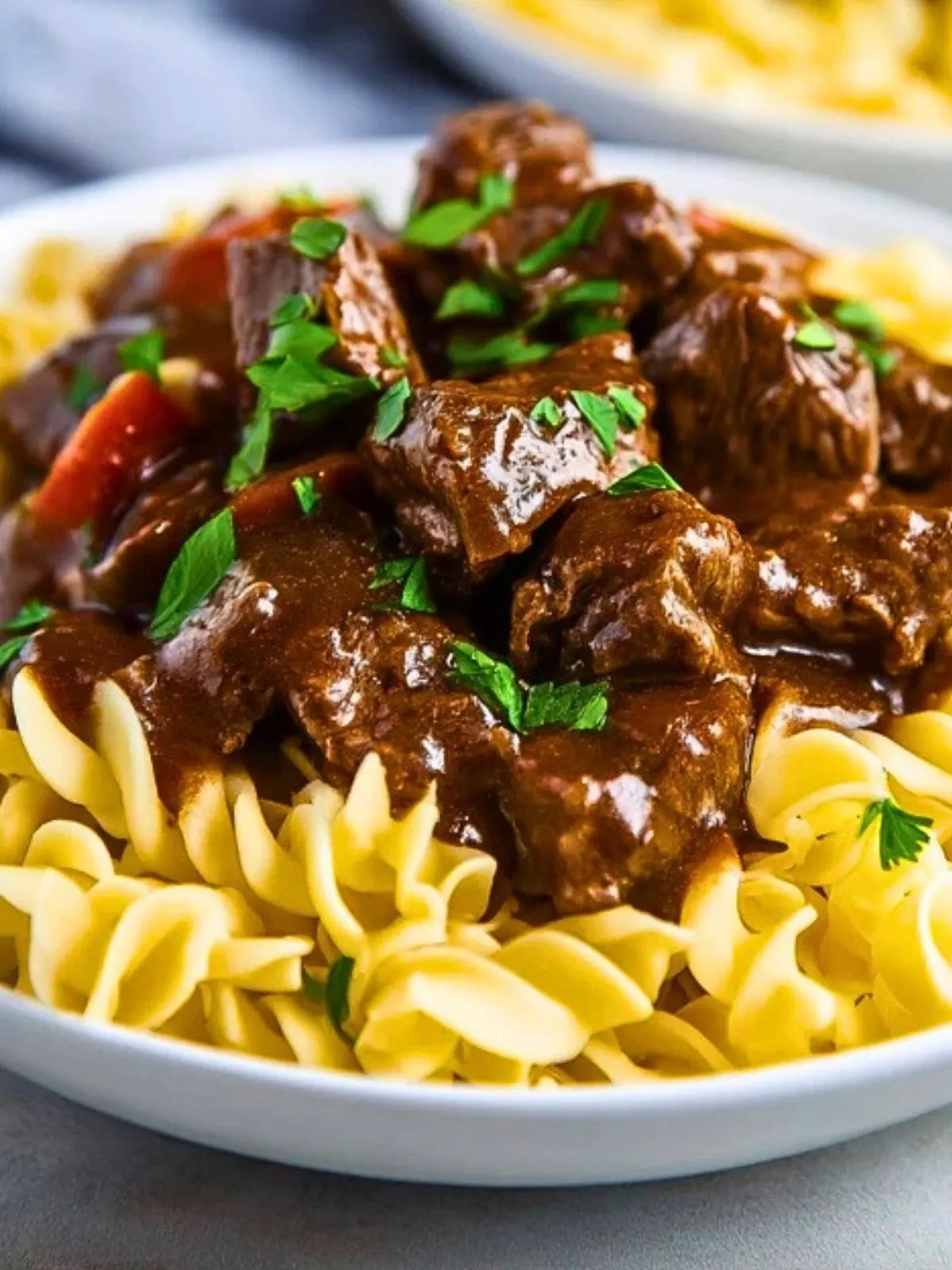 Boeuf Aux Nouilles En Cocotte (1)