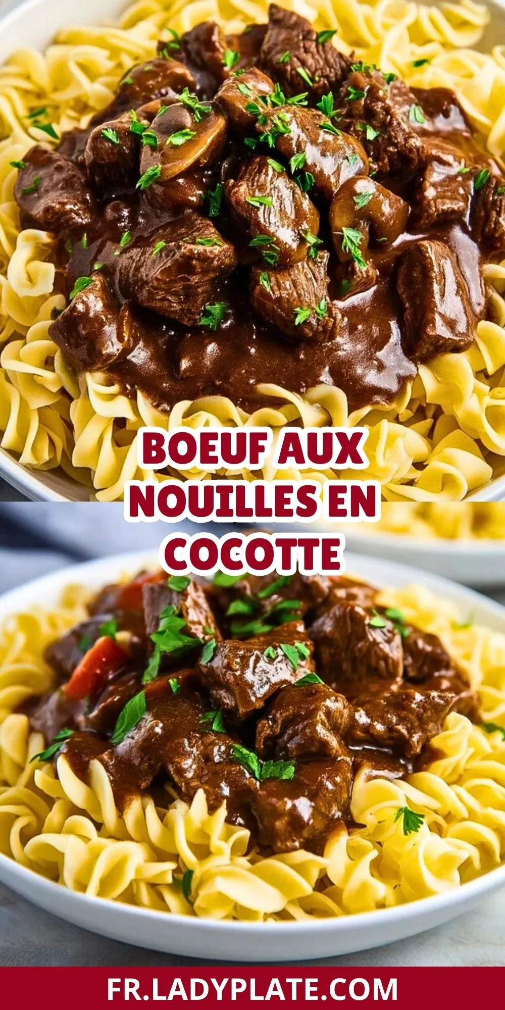 Boeuf Aux Nouilles En Cocotte (2)