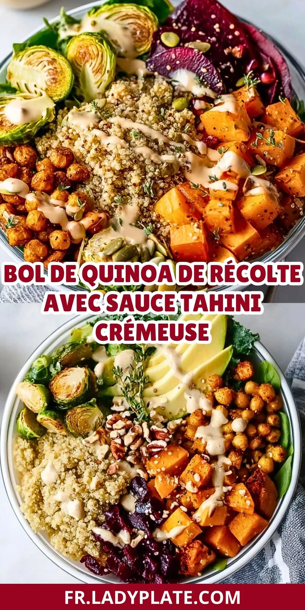 Bol De Quinoa De Récolte Avec Sauce Tahini Crémeuse (2)
