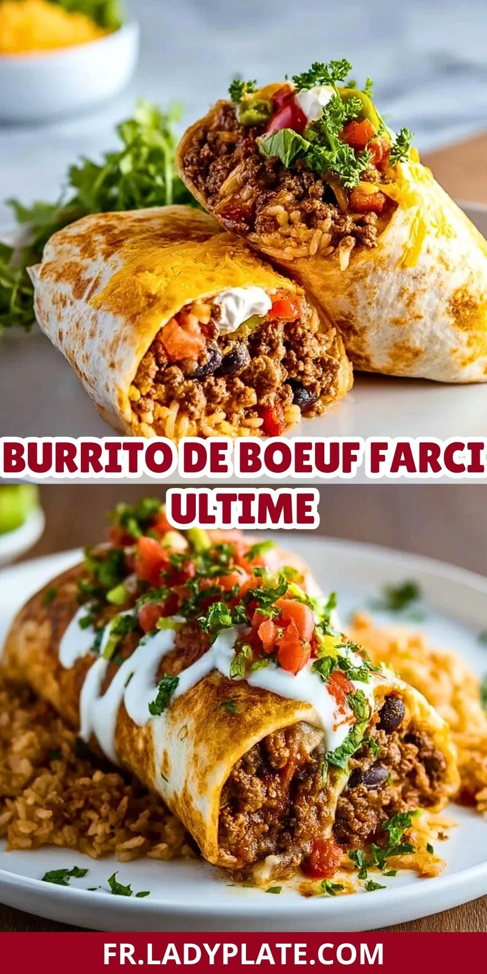 Burrito De Boeuf Farci Ultime (2)