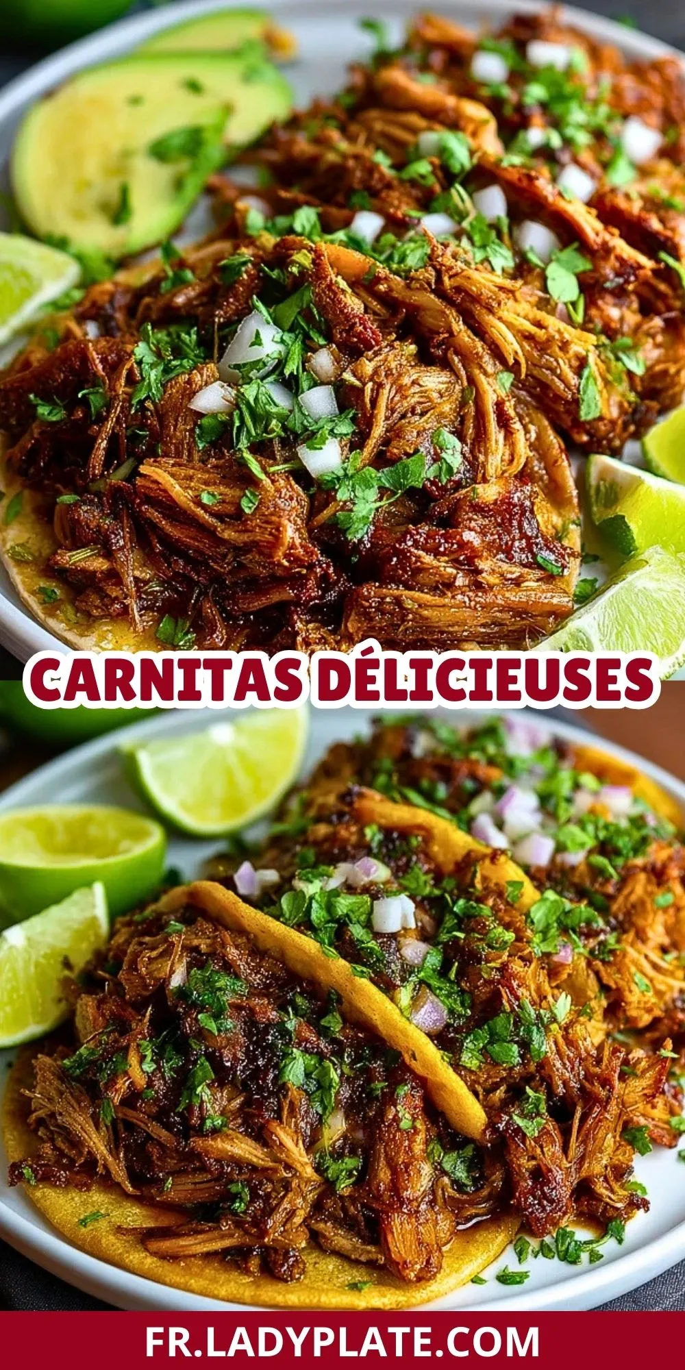 Carnitas Délicieuses (2)