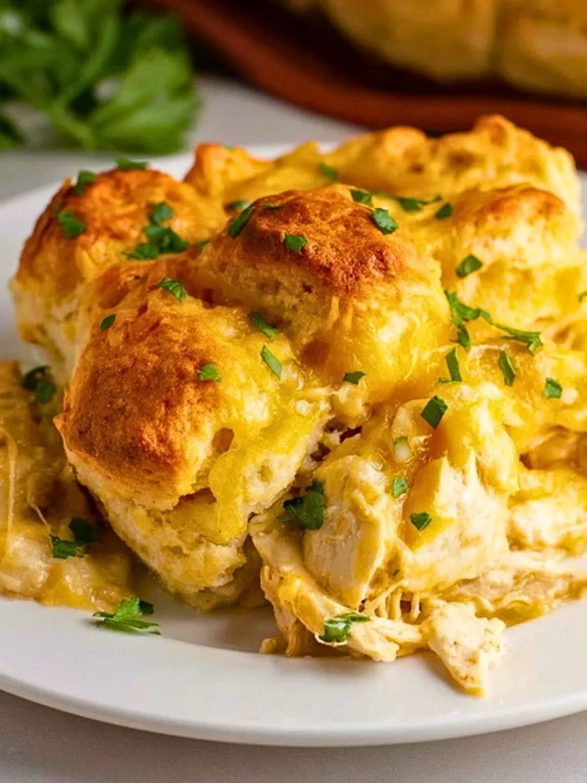 Casserole De Poulet Aux Biscuits (1)