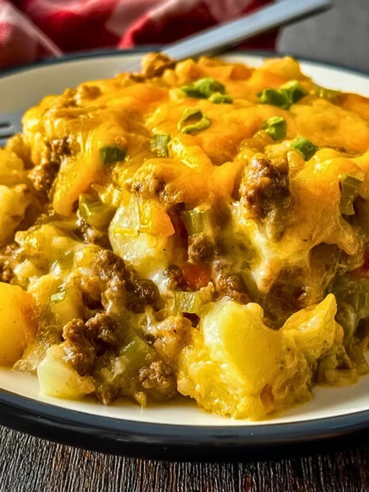 Casserole De Viande Au Fromage Et Pommes De Terre Congelées (1)