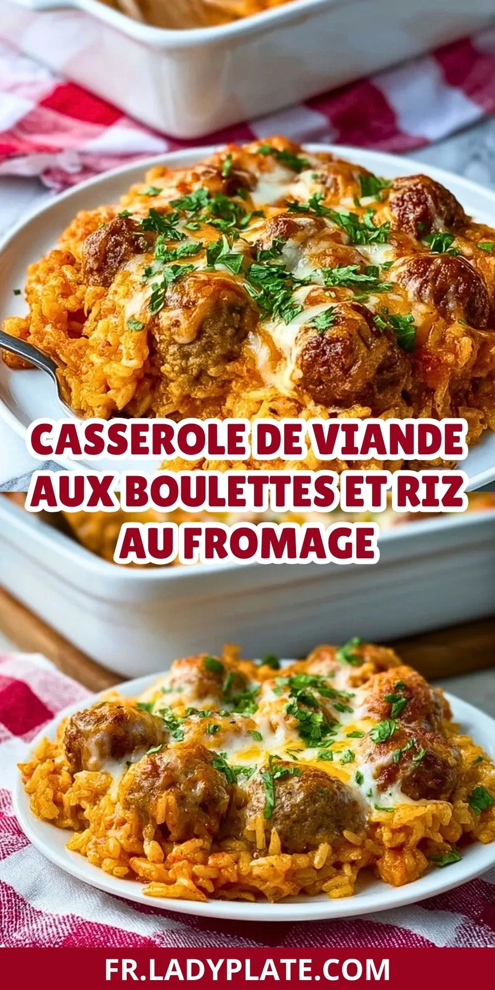 Casserole De Viande Aux Boulettes Et Riz Au Fromage (2)