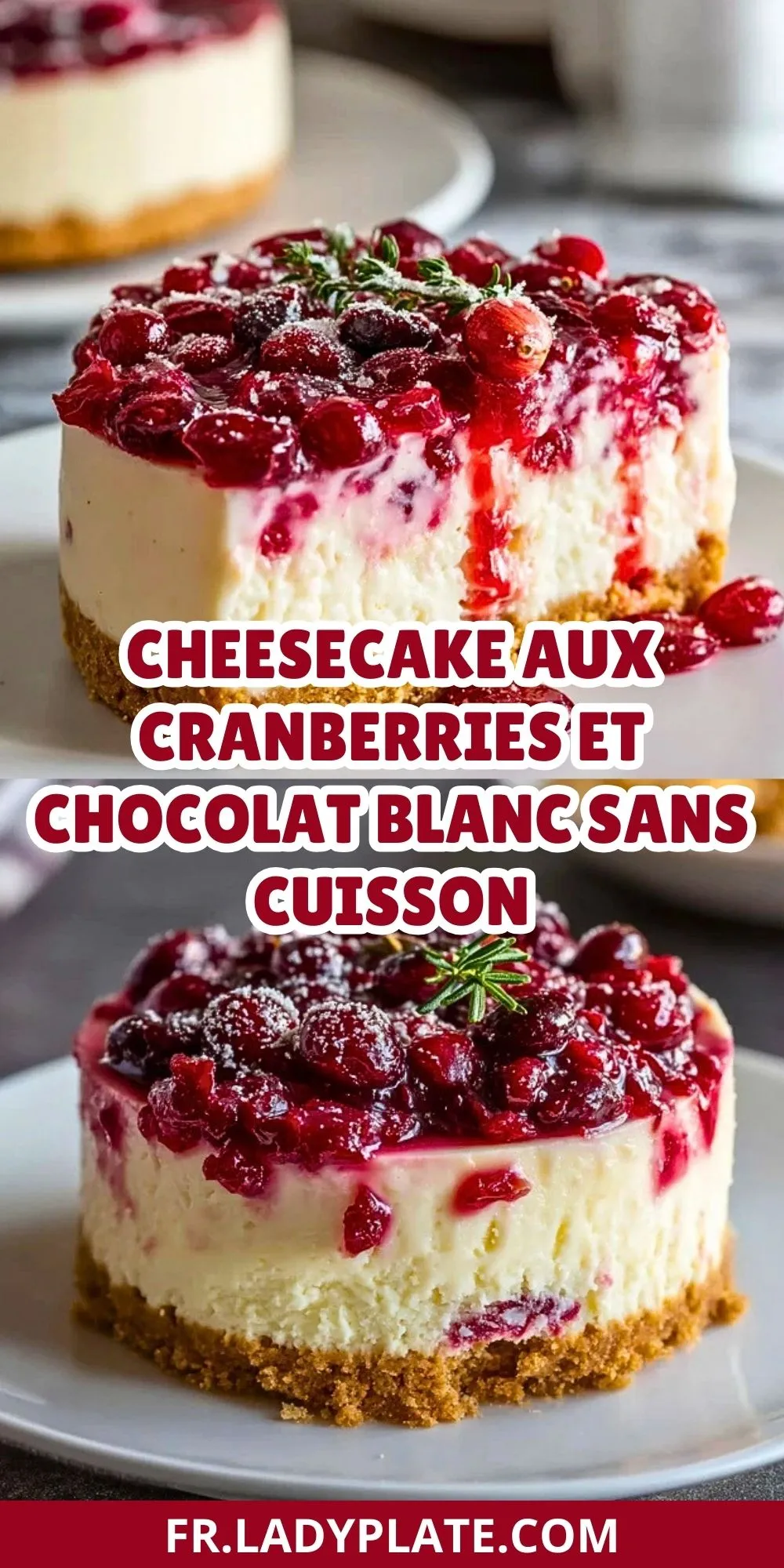 Cheesecake Aux Cranberries Et Chocolat Blanc Sans Cuisson (2)
