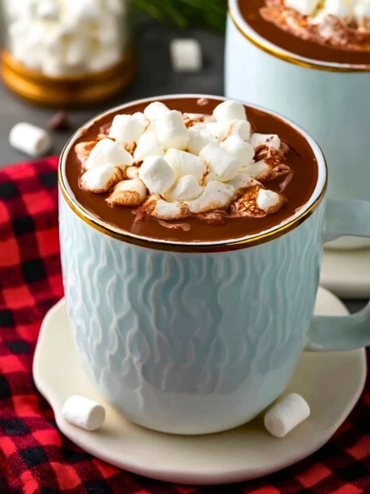 Chocolat Chaud à la Mijoteuse (1)