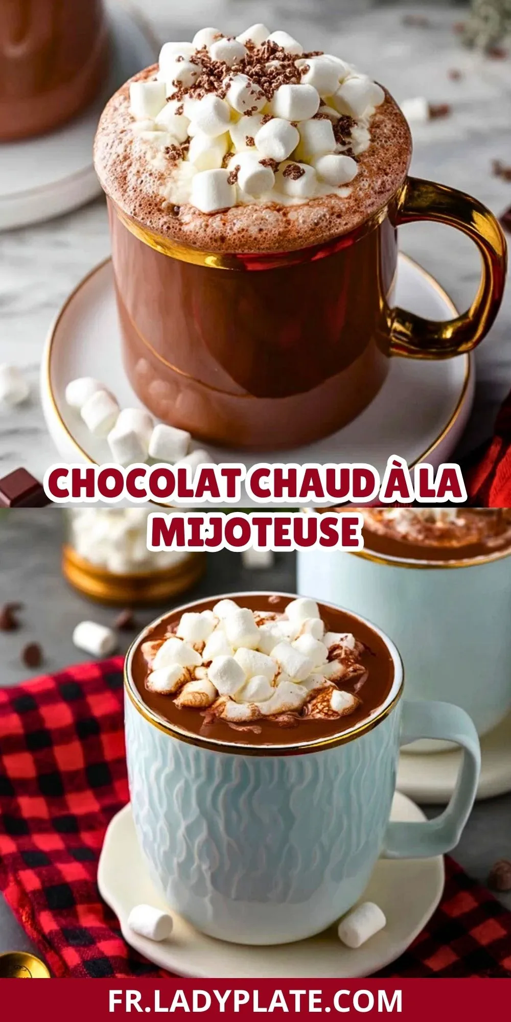 Chocolat Chaud à la Mijoteuse (2)