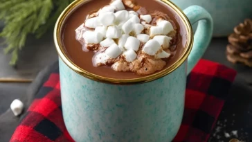 Chocolat Chaud à la Mijoteuse
