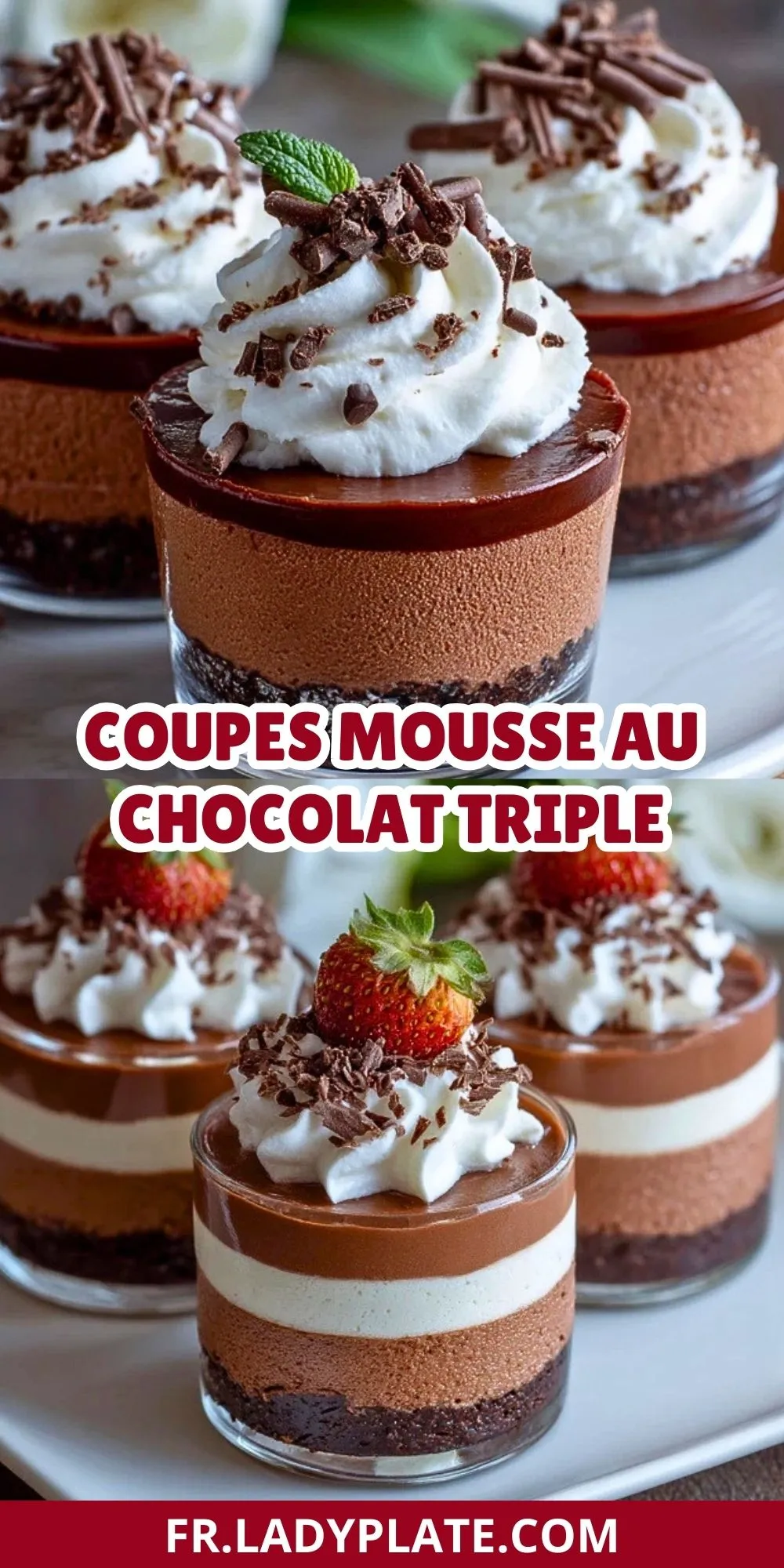 Coupes Mousse Au Chocolat Triple (2)