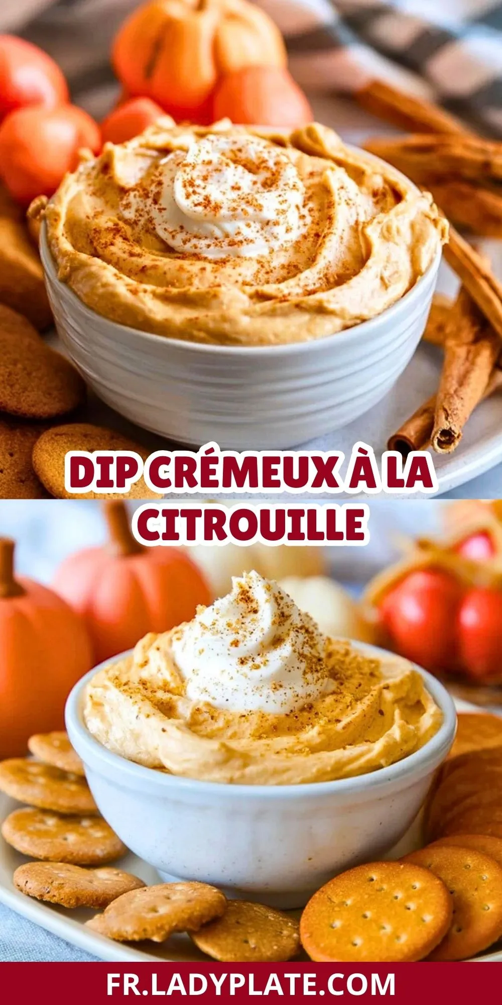 Dip Crémeux à la Citrouille (2)