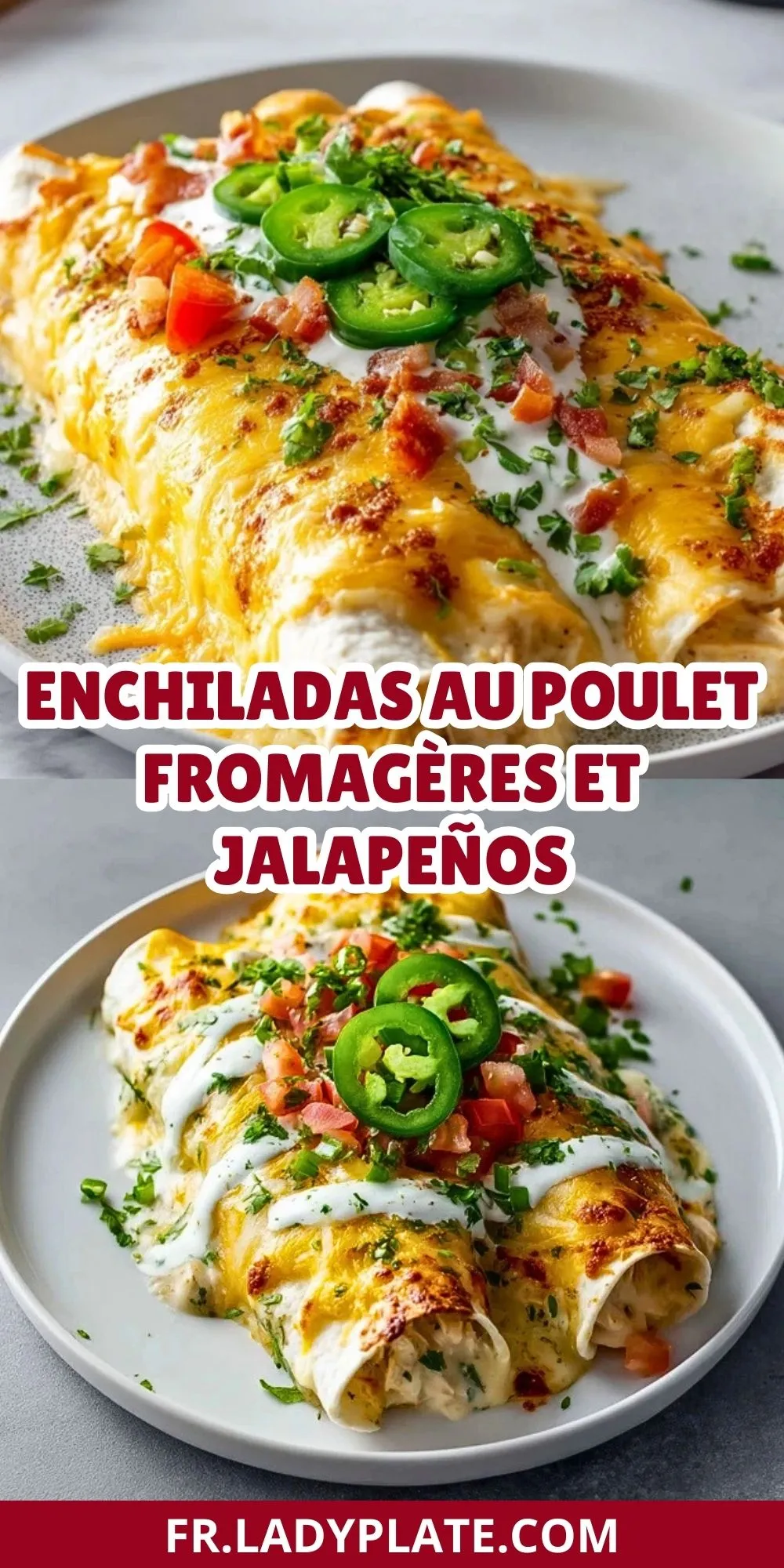 Enchiladas Au Poulet Fromagères Et Jalapeños (2)