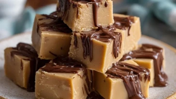 Fudge Au Chocolat Baileys