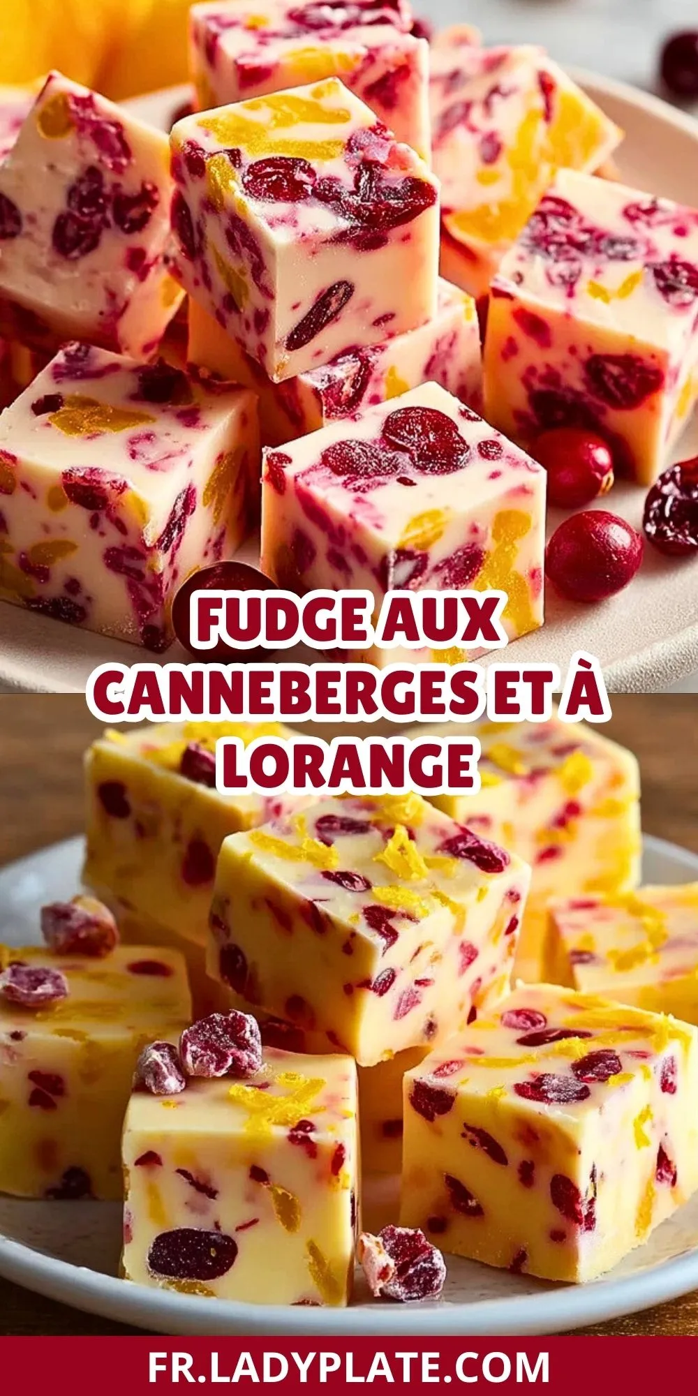 Fudge Aux Canneberges Et À LOrange (2)