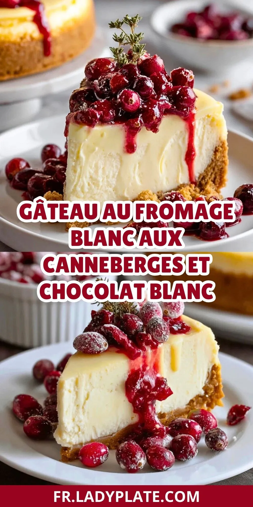 Gâteau Au Fromage Blanc Aux Canneberges Et Chocolat Blanc (2)