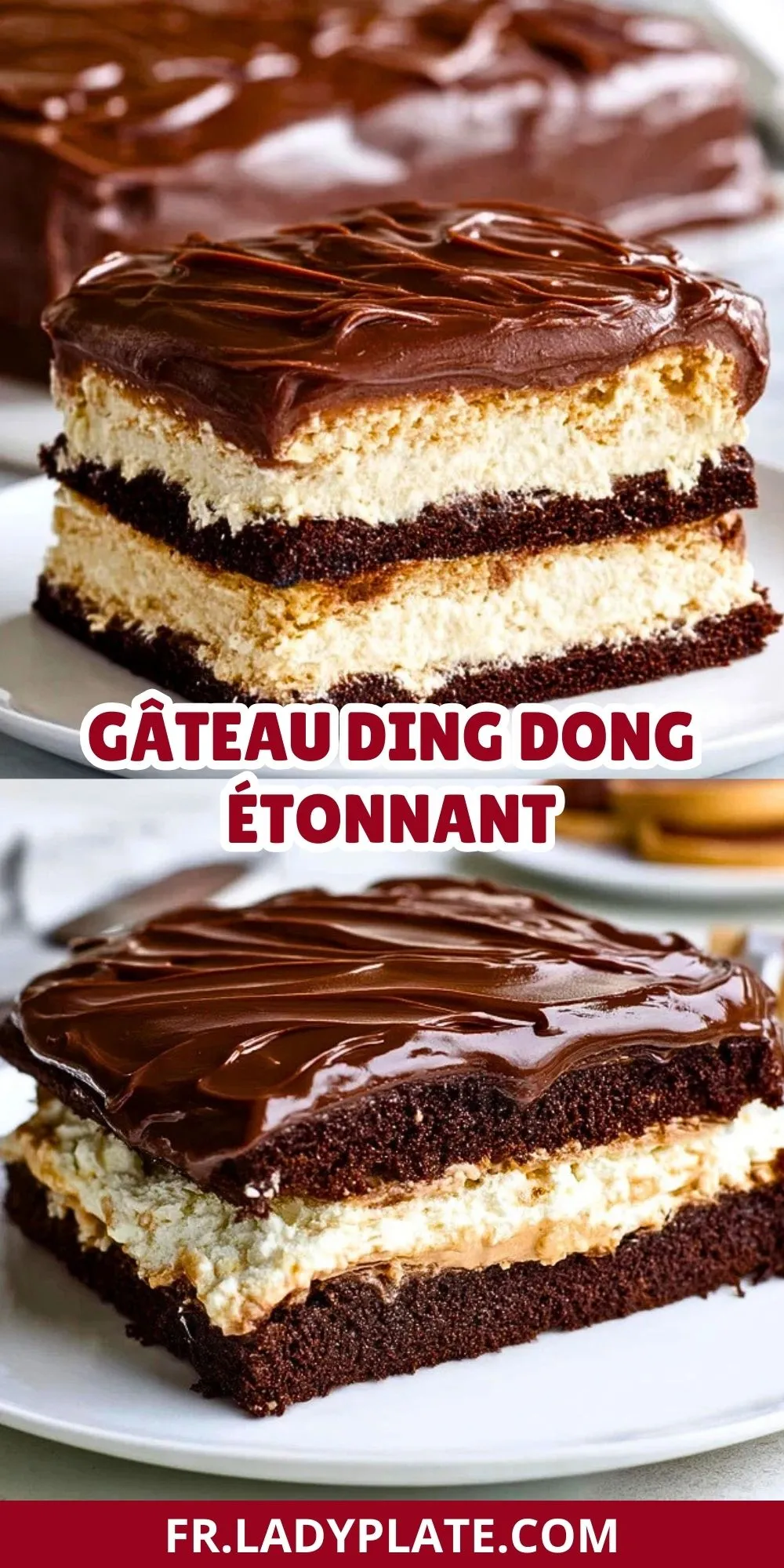 Gâteau Ding Dong Étonnant (2)