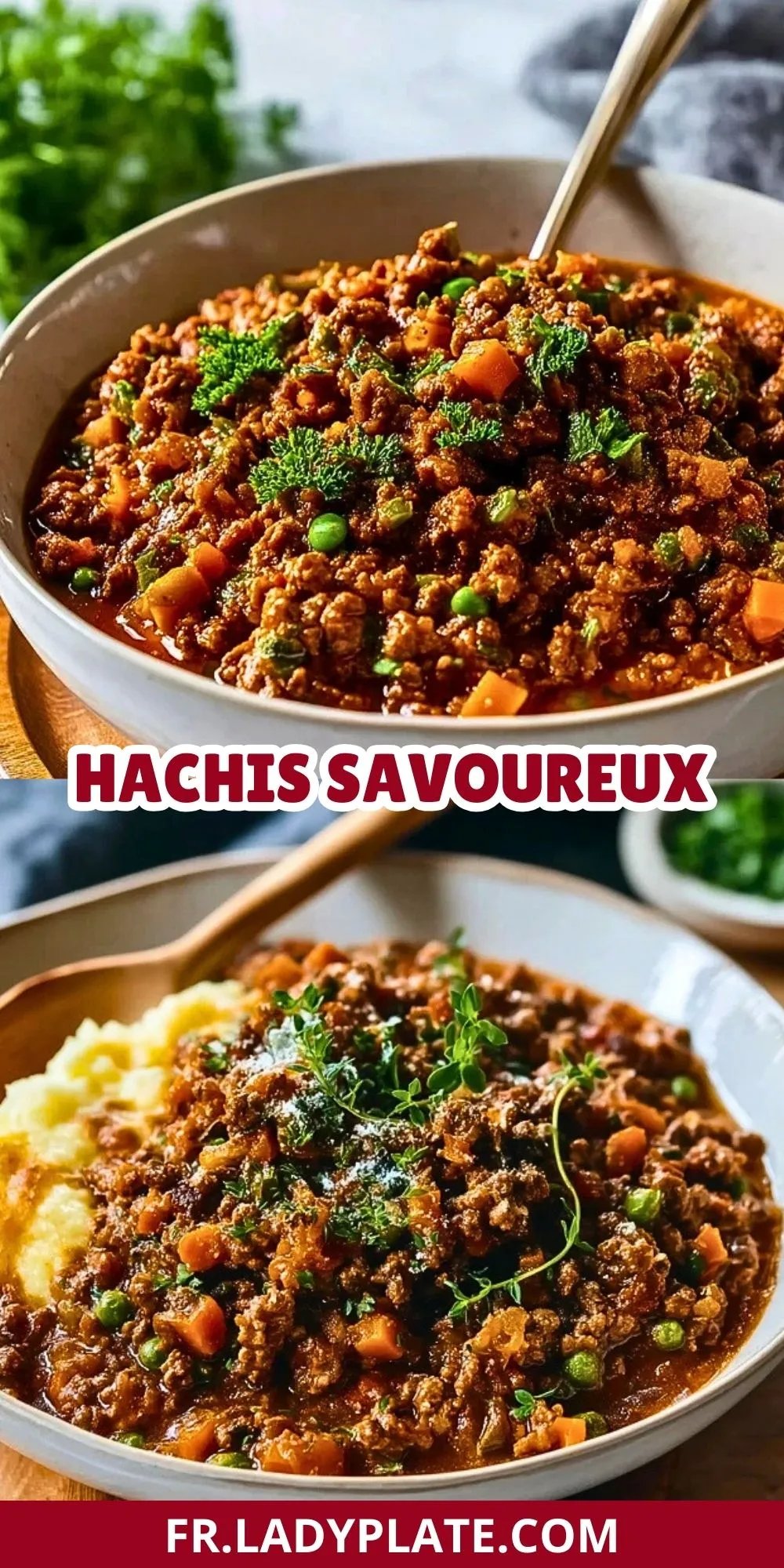 Hachis Savoureux (2)