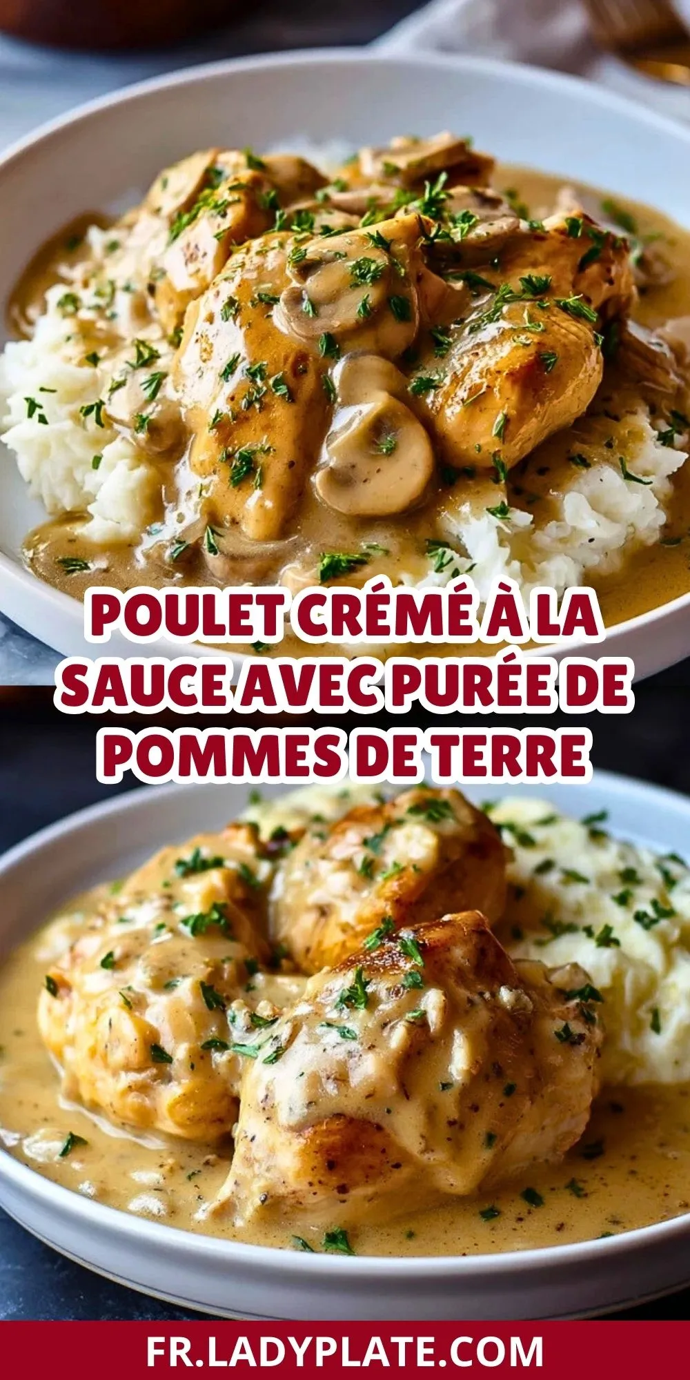 Poulet Crémé à la Sauce avec Purée de Pommes de Terre (2)