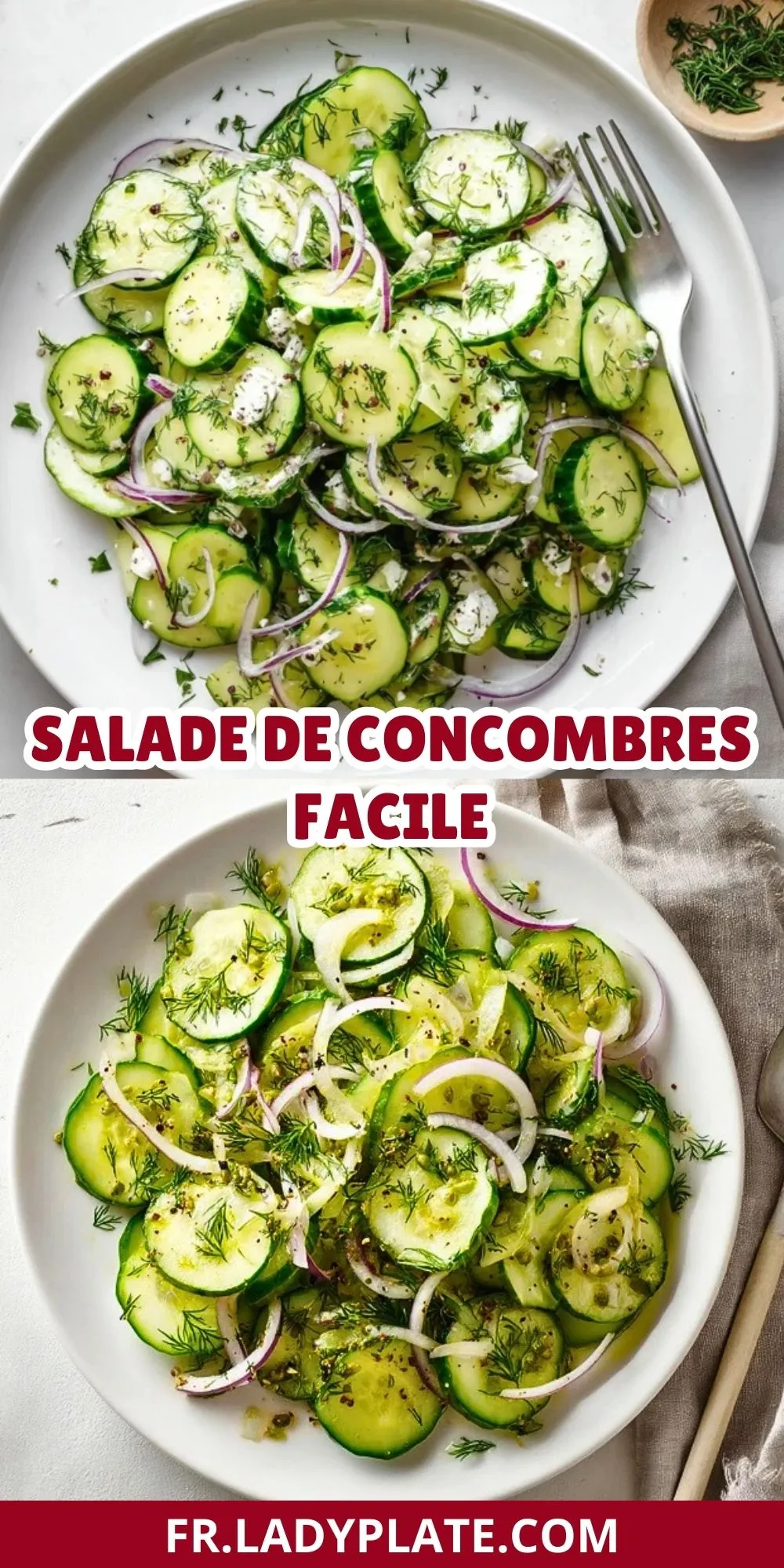 Salade De Concombres Facile (2)
