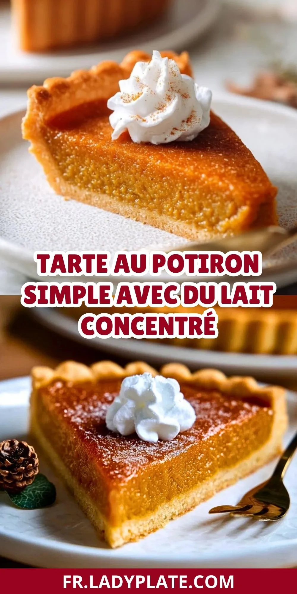 Tarte Au Potiron Simple Avec Du Lait Concentré (2)