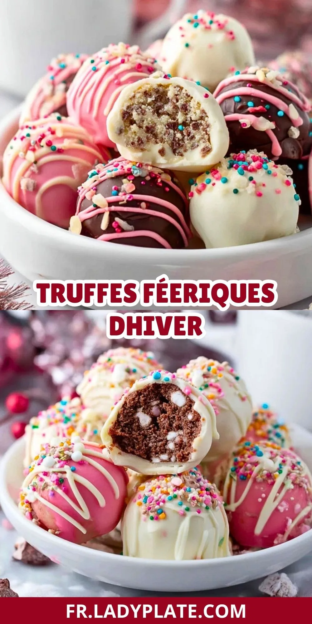 Truffes Féeriques dHiver (2)