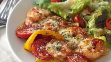 Le Plat De Lasagnes Faciles