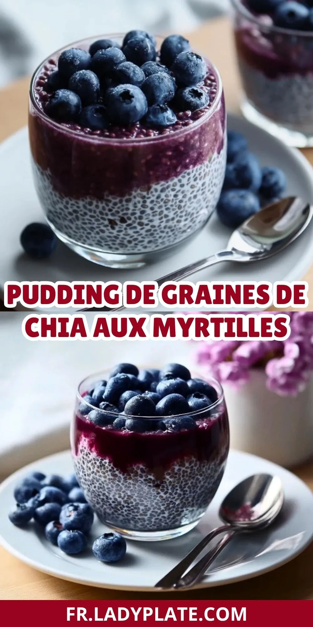 Pudding De Graines De Chia Aux Myrtilles (2)