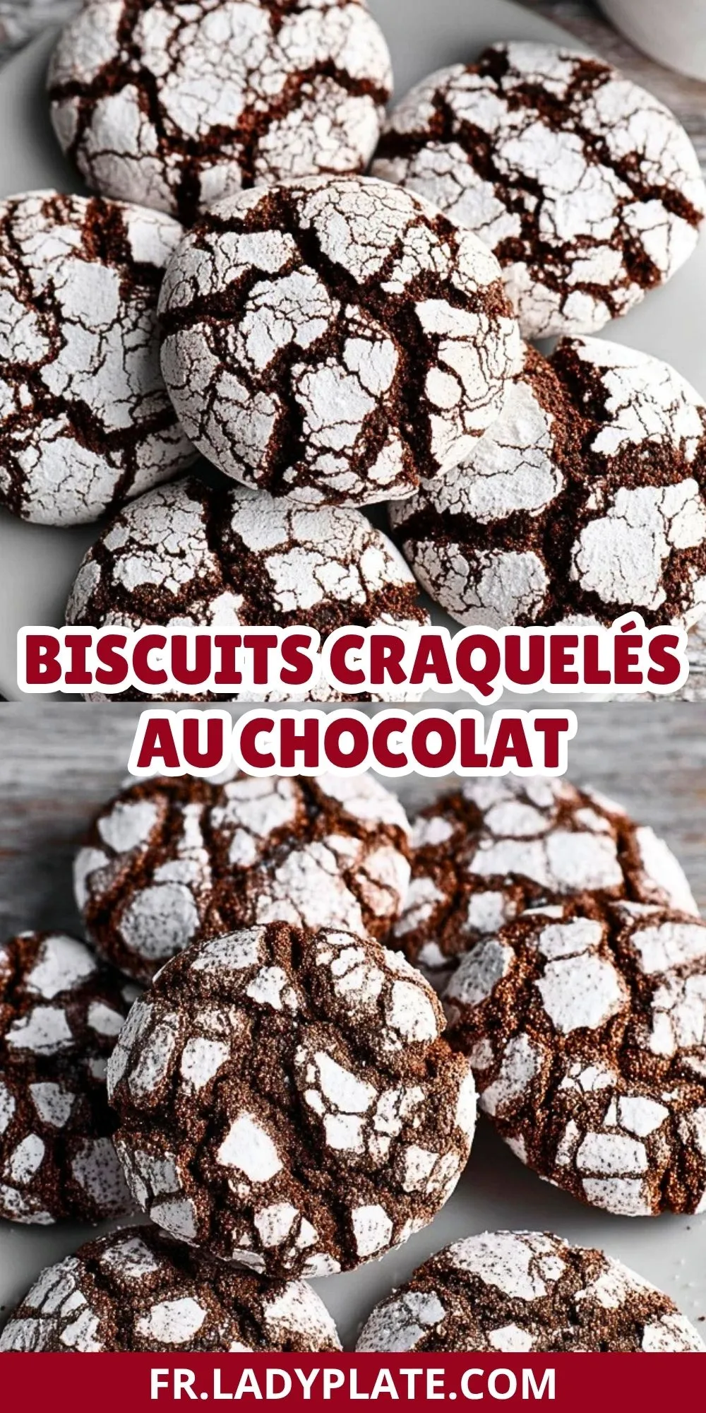 Biscuits Craquelés au Chocolat (2)