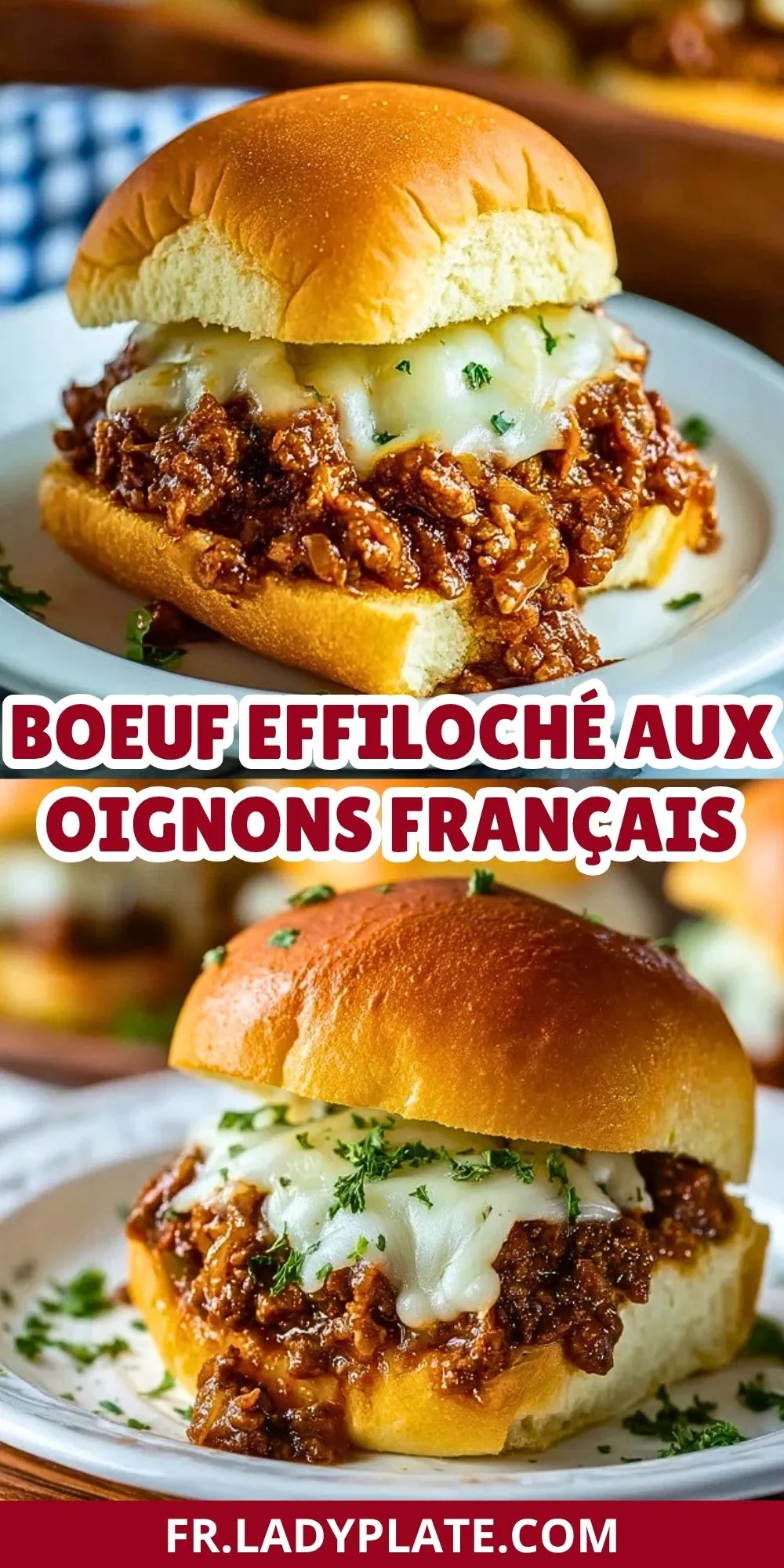 Boeuf Effiloché Aux Oignons Français (2)