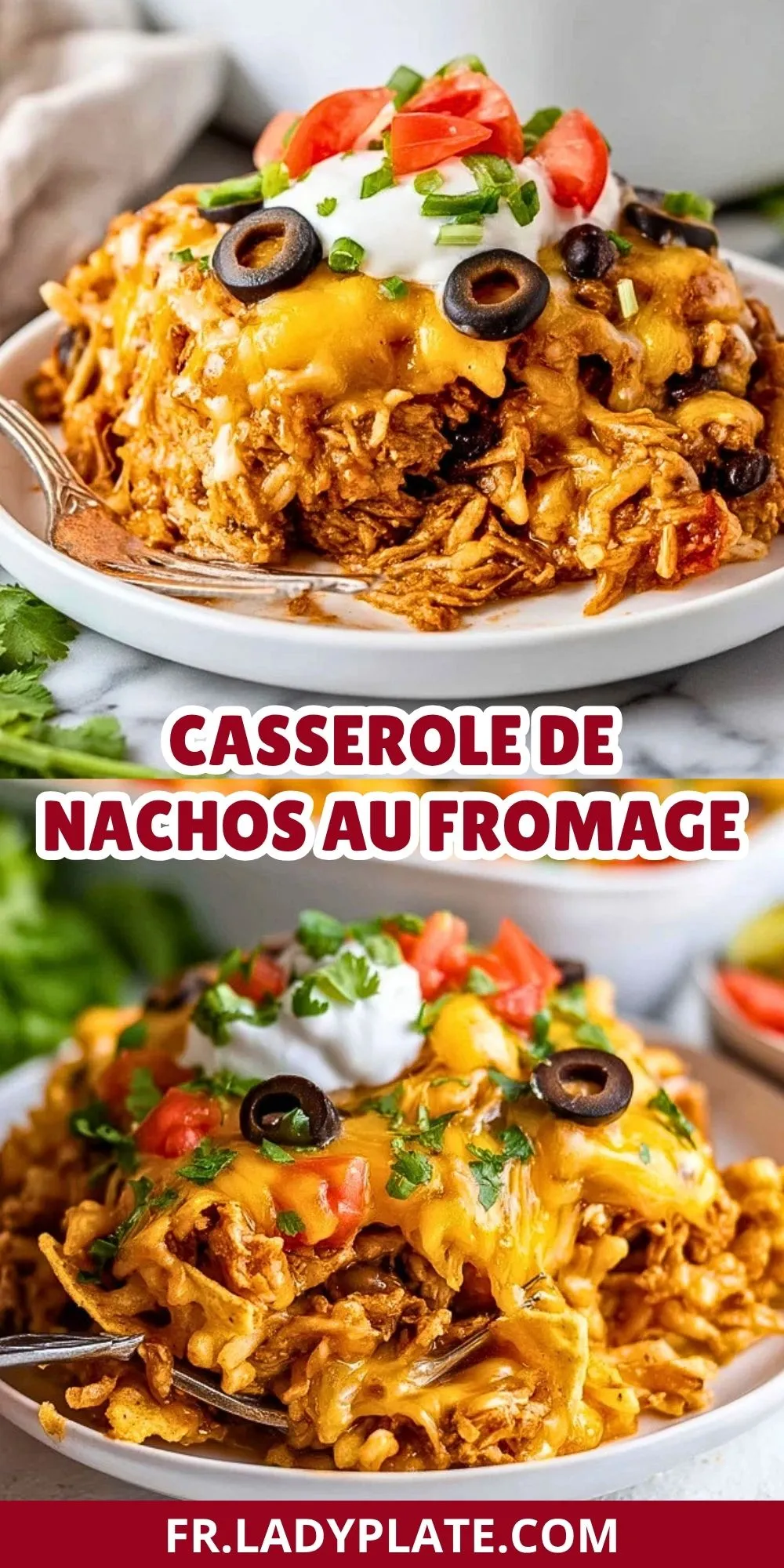 Casserole De Nachos Au Fromage (2)