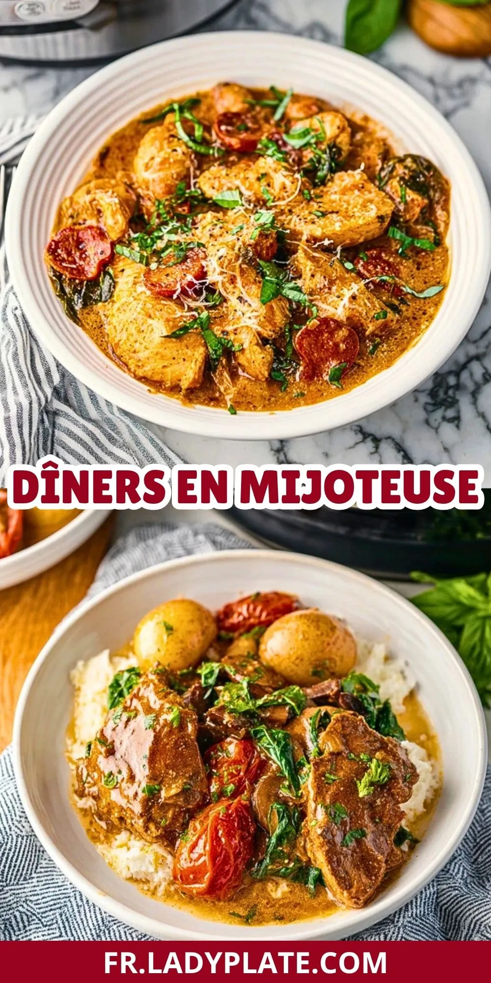 Dîners En Mijoteuse (2)