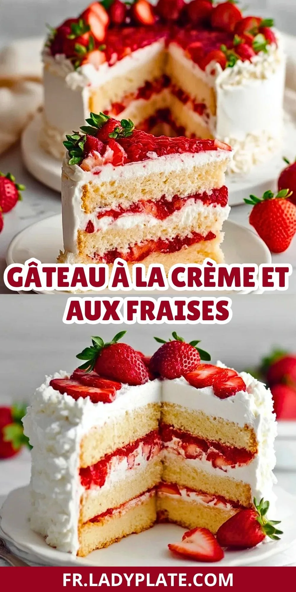 Gâteau à la Crème et aux Fraises (2)