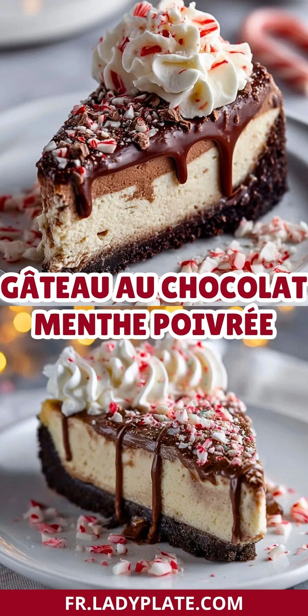 Gâteau Au Chocolat Menthe Poivrée (2)