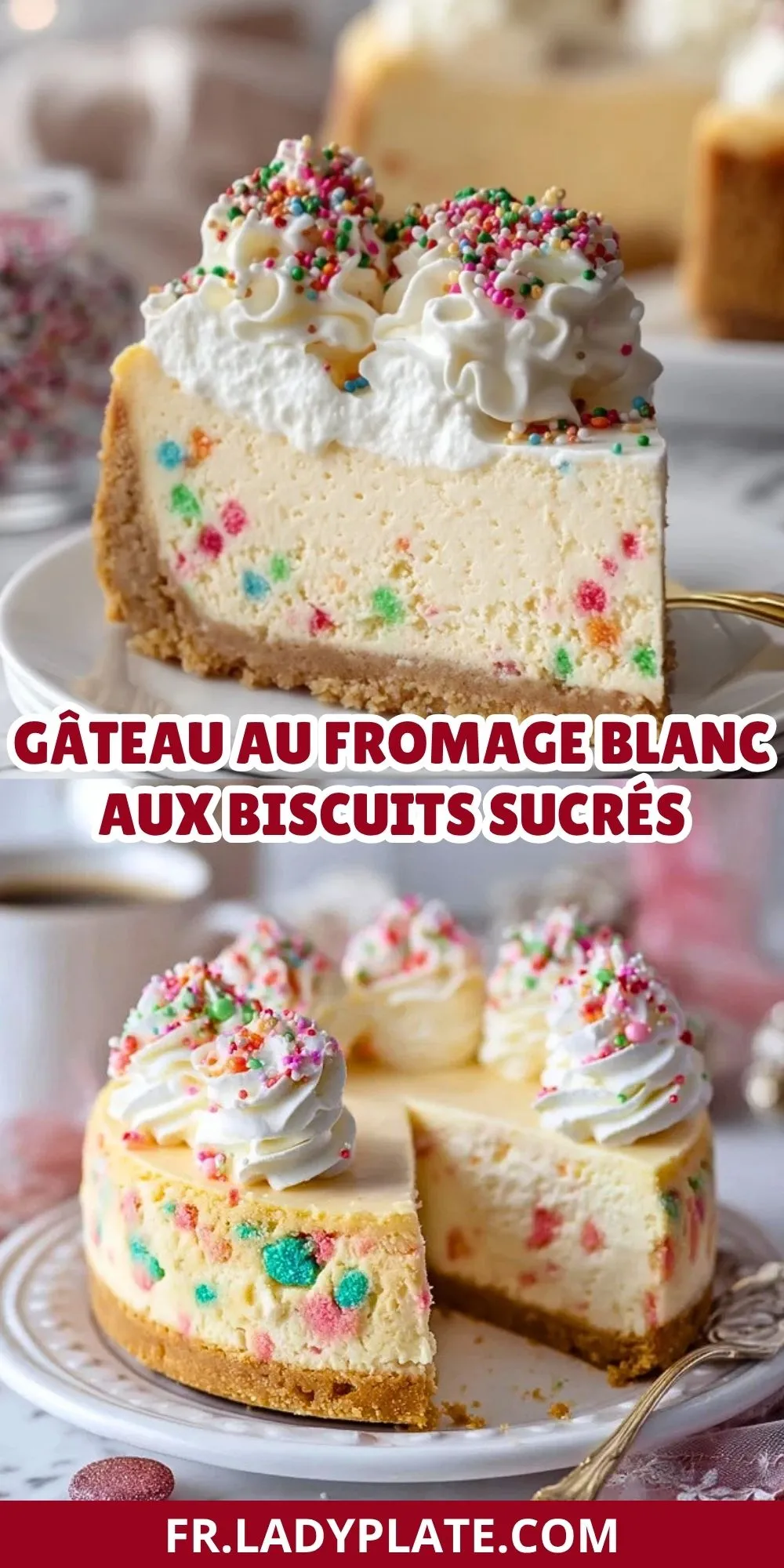 Gâteau Au Fromage Blanc Aux Biscuits Sucrés (2)