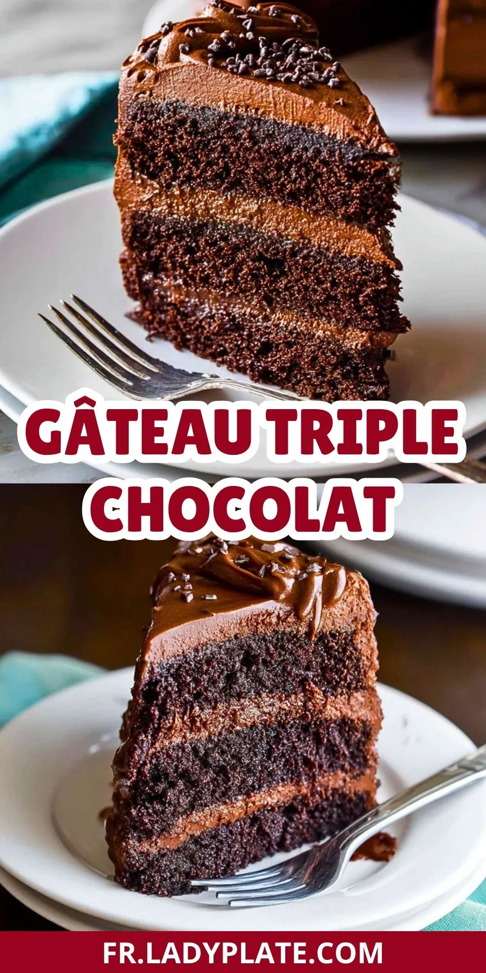 Gâteau Triple Chocolat (2)