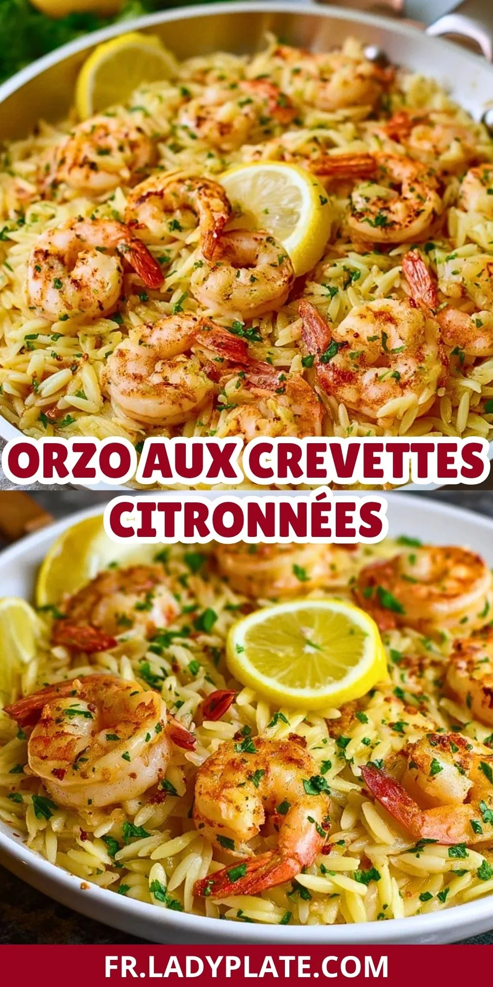 Orzo Aux Crevettes Citronnées (2)