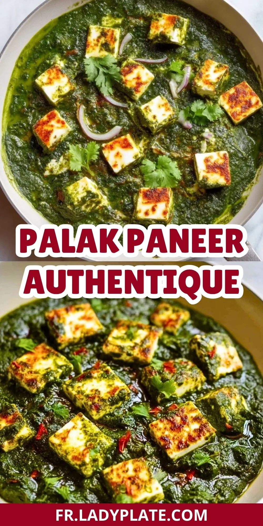 Palak Paneer Authentique (2)