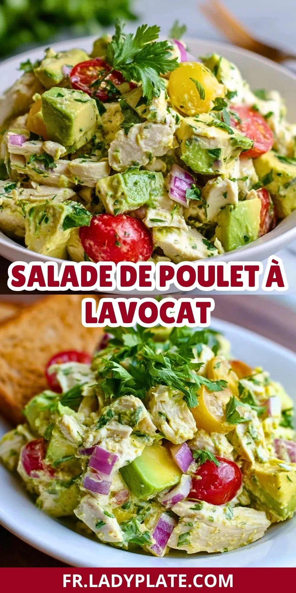 Salade De Poulet À LAvocat (2)