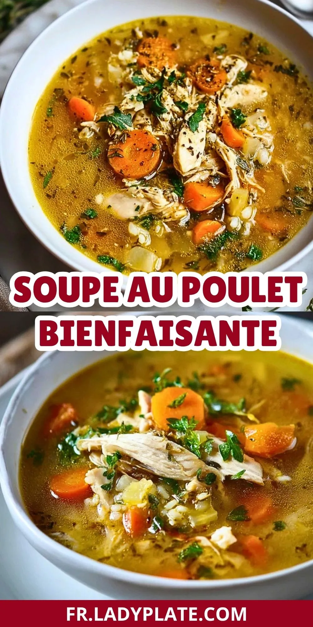Soupe Au Poulet Bienfaisante (2)