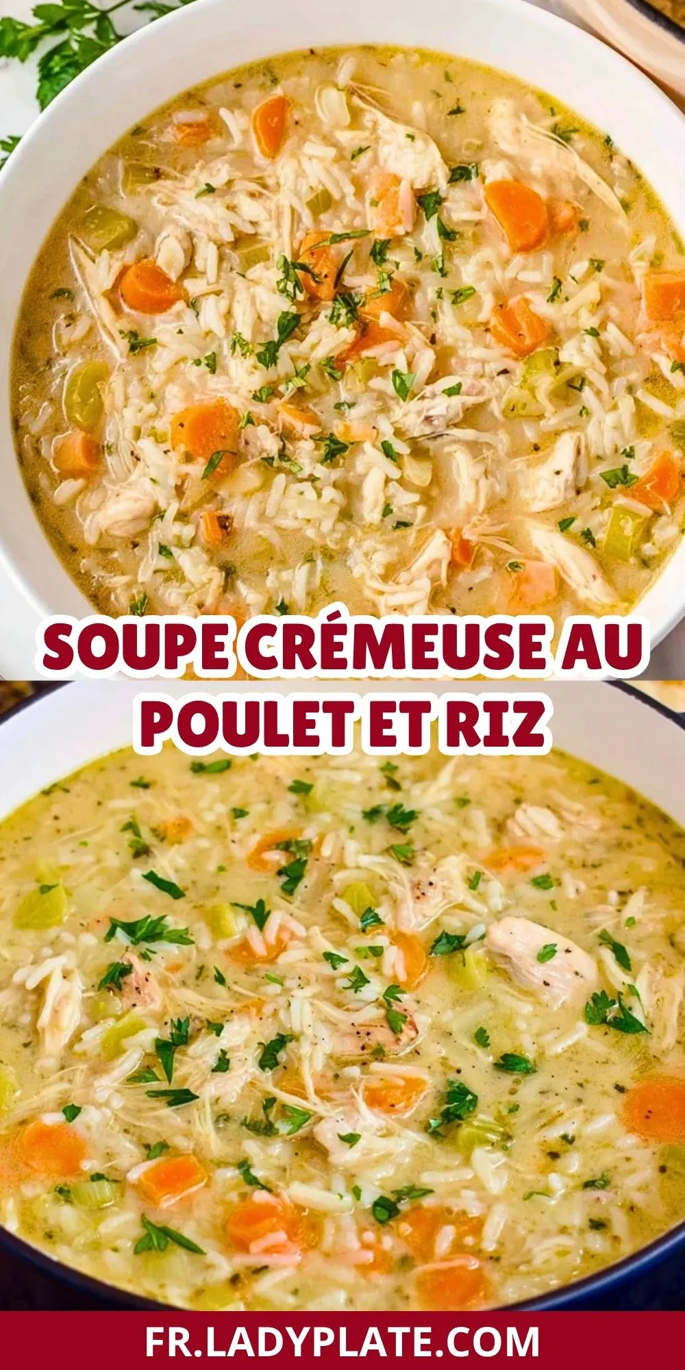 Soupe Crémeuse au Poulet et Riz (2)