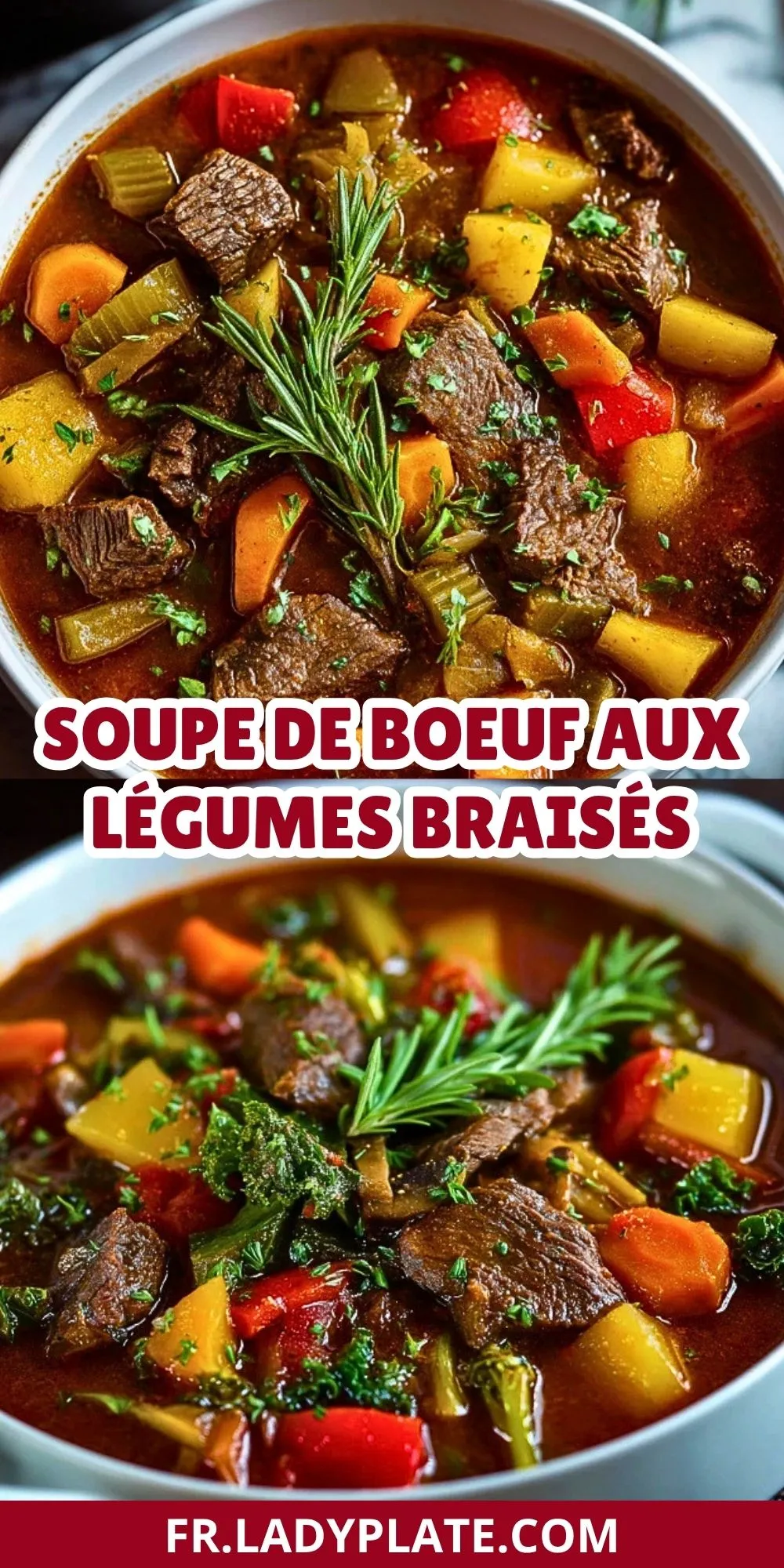 Soupe De Boeuf Aux Légumes Braisés - Pin 1