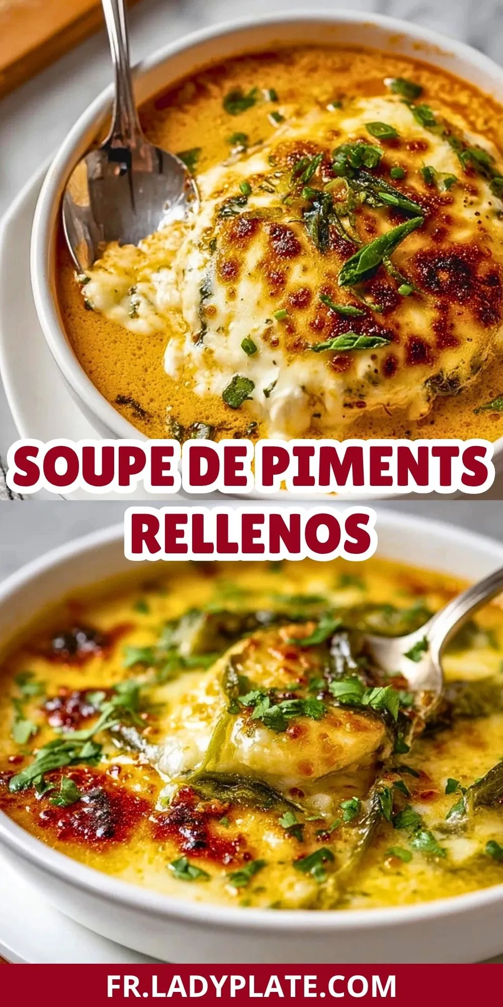 Soupe De Piments Rellenos (2)