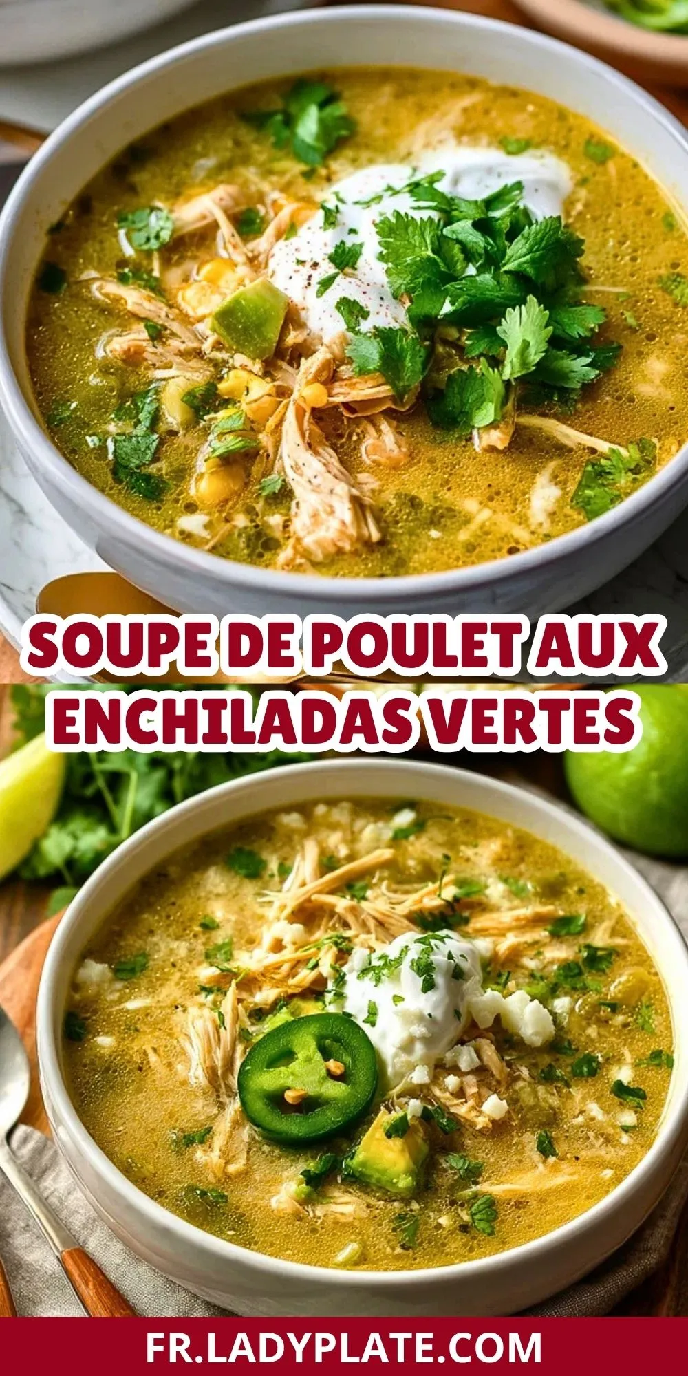Soupe De Poulet Aux Enchiladas Vertes (2)