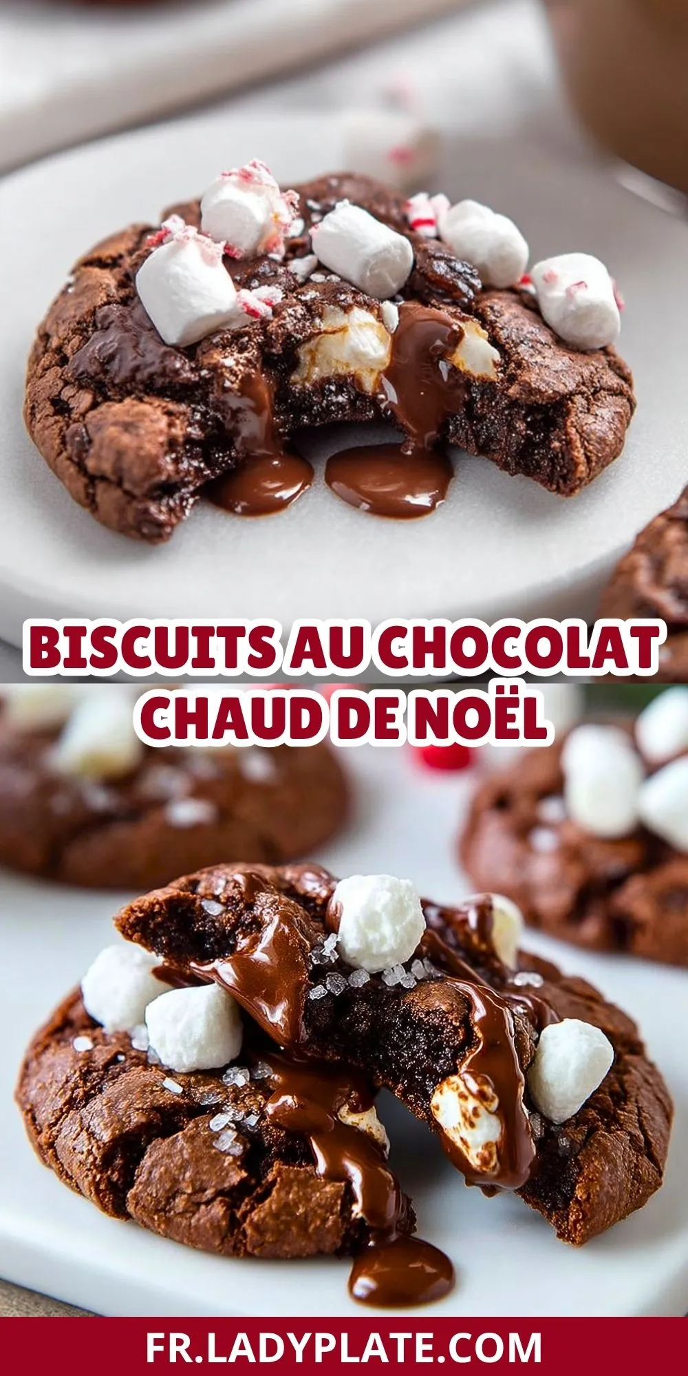 Biscuits Au Chocolat Chaud De Noël (2)